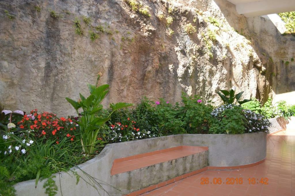 Coral Villa Ericeira Ngoại thất bức ảnh